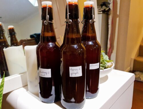 Project: Kombucha