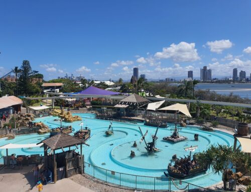 Sea World | Goldcoast, QLD