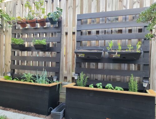 Planter Boxes Project